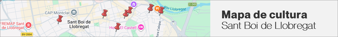 Mapa de equipamientos de cultura Sant Boi de Llobregat
